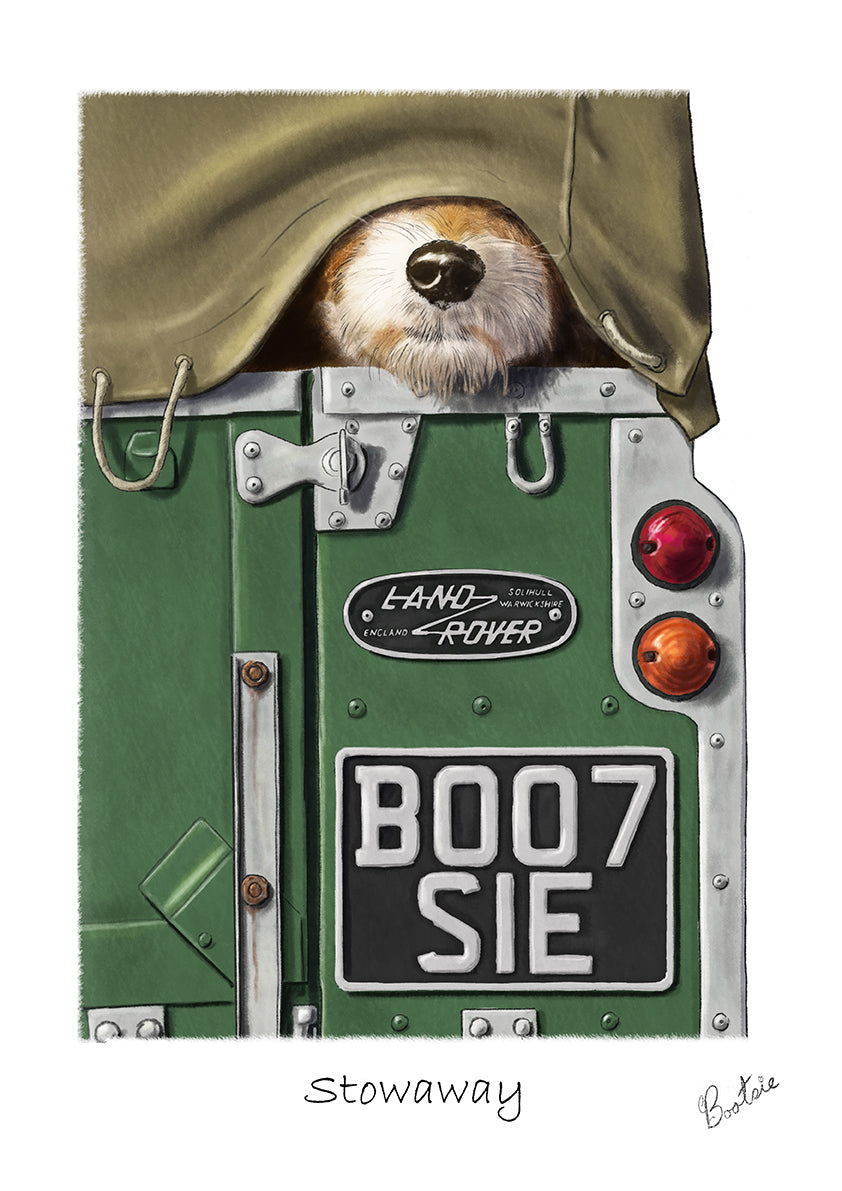 Stowaway