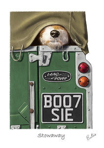 Stowaway
